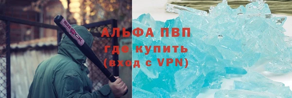 индика Березники