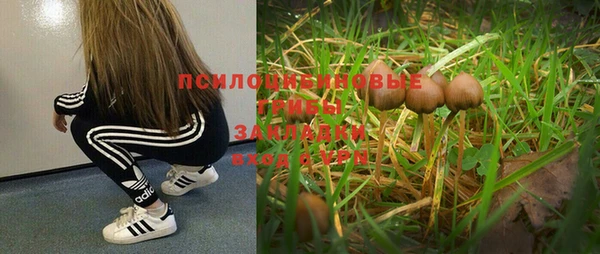индика Березники