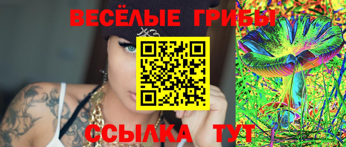 Галлюциногенные грибы Magic Shrooms Тамбов