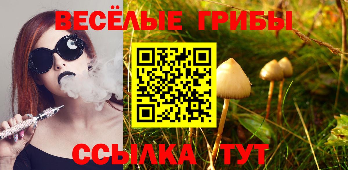 Псилоцибиновые грибы MAGIC MUSHROOMS  Вход с VPN  Тамбов  Псилоцибиновые грибы Psilocybine cubensis 